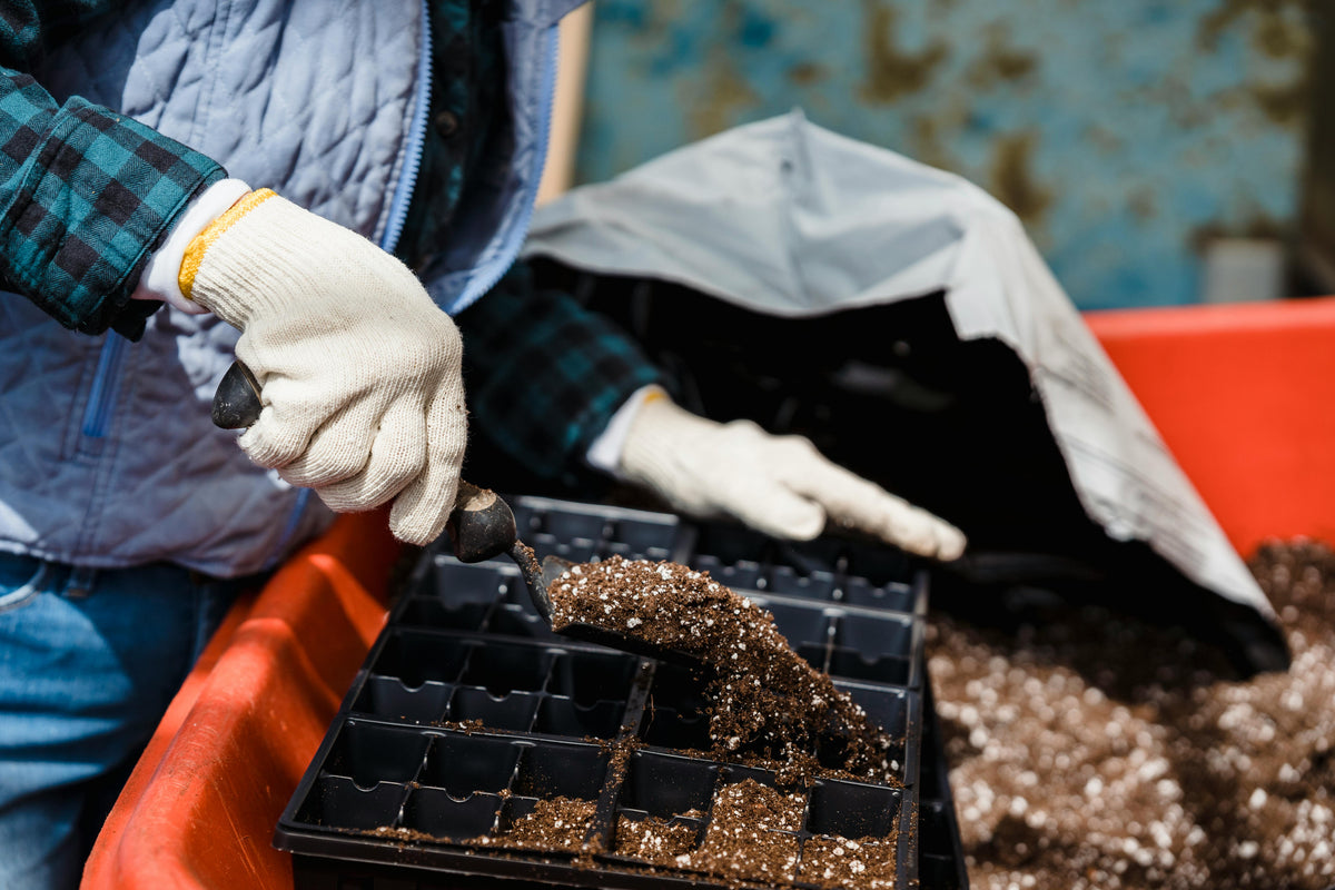 Effective Application Methods for Magnesium Sulfate: Boosting Plant Growth and Stress Resistance