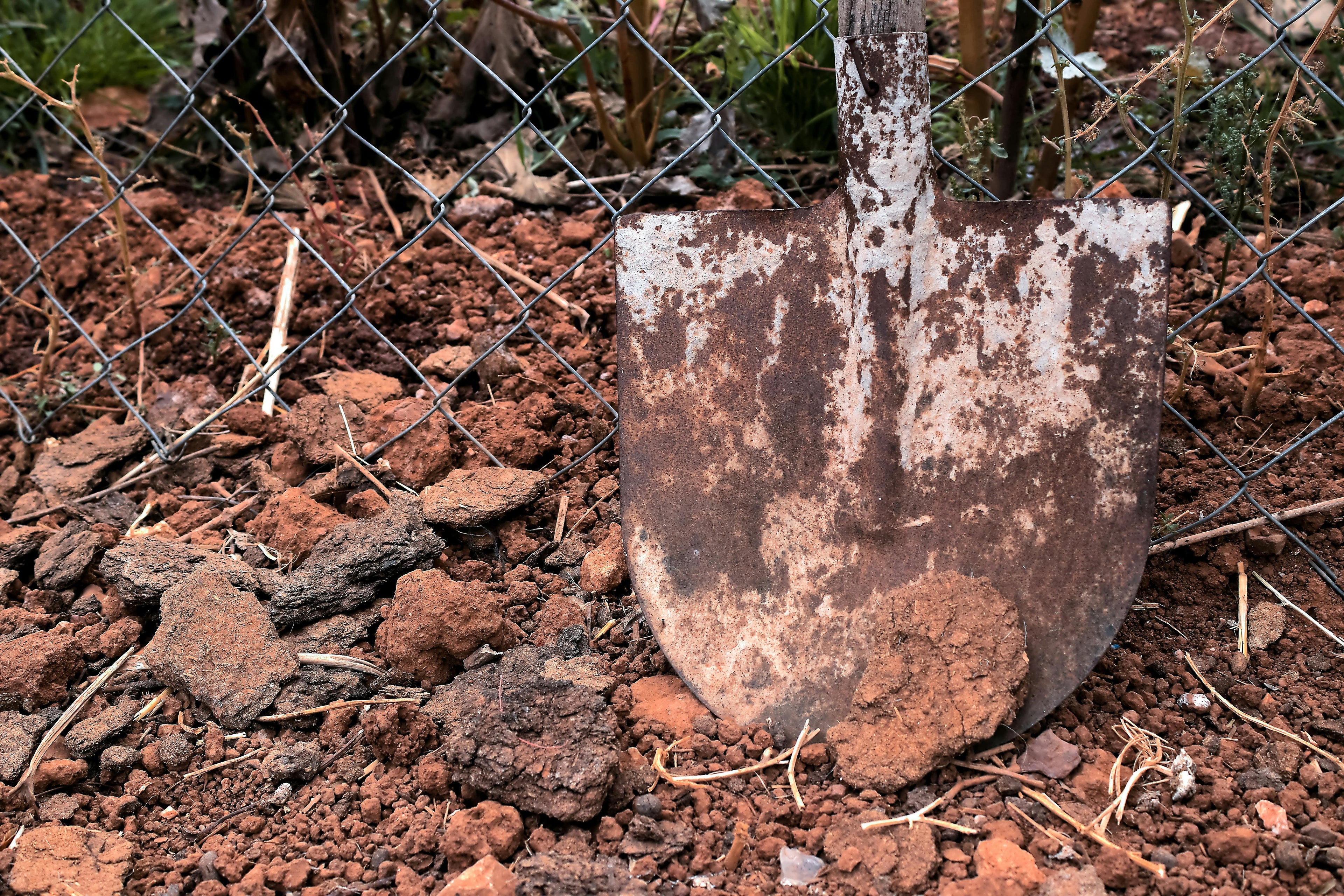 The Link Between Soil pH and Fertilizer Efficiency