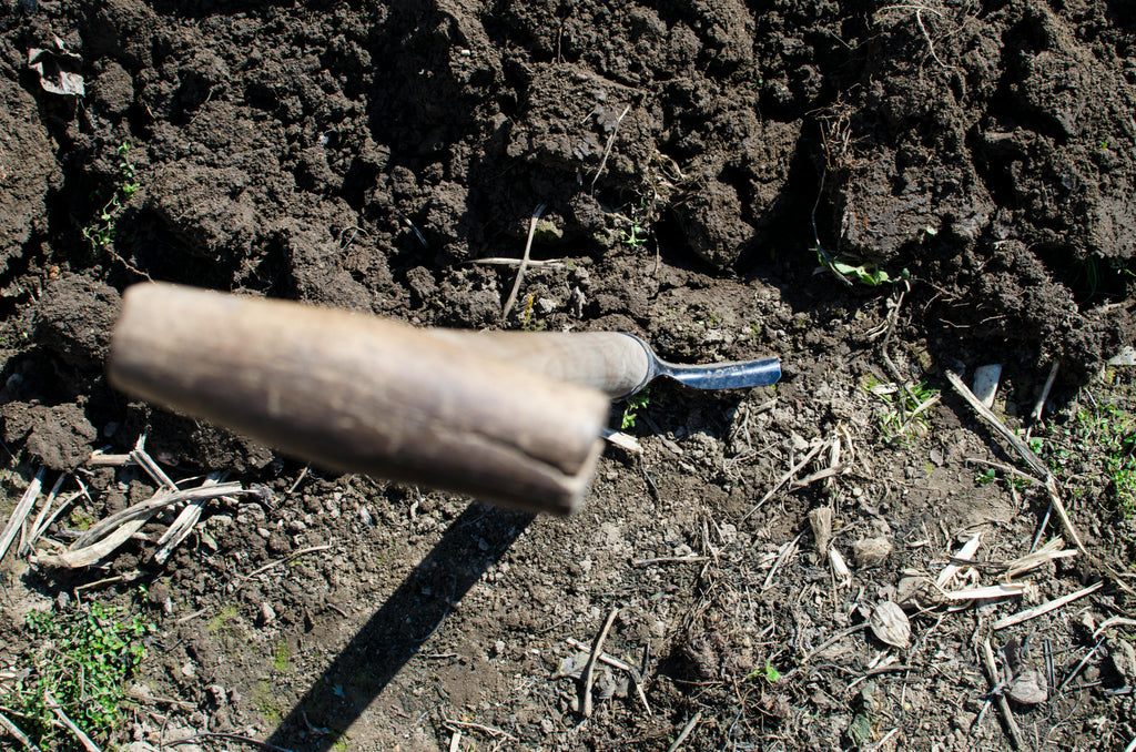How to Combine Fish Fertilizer with 15.5-0-0 Calcium Nitrate for Maximum Yield