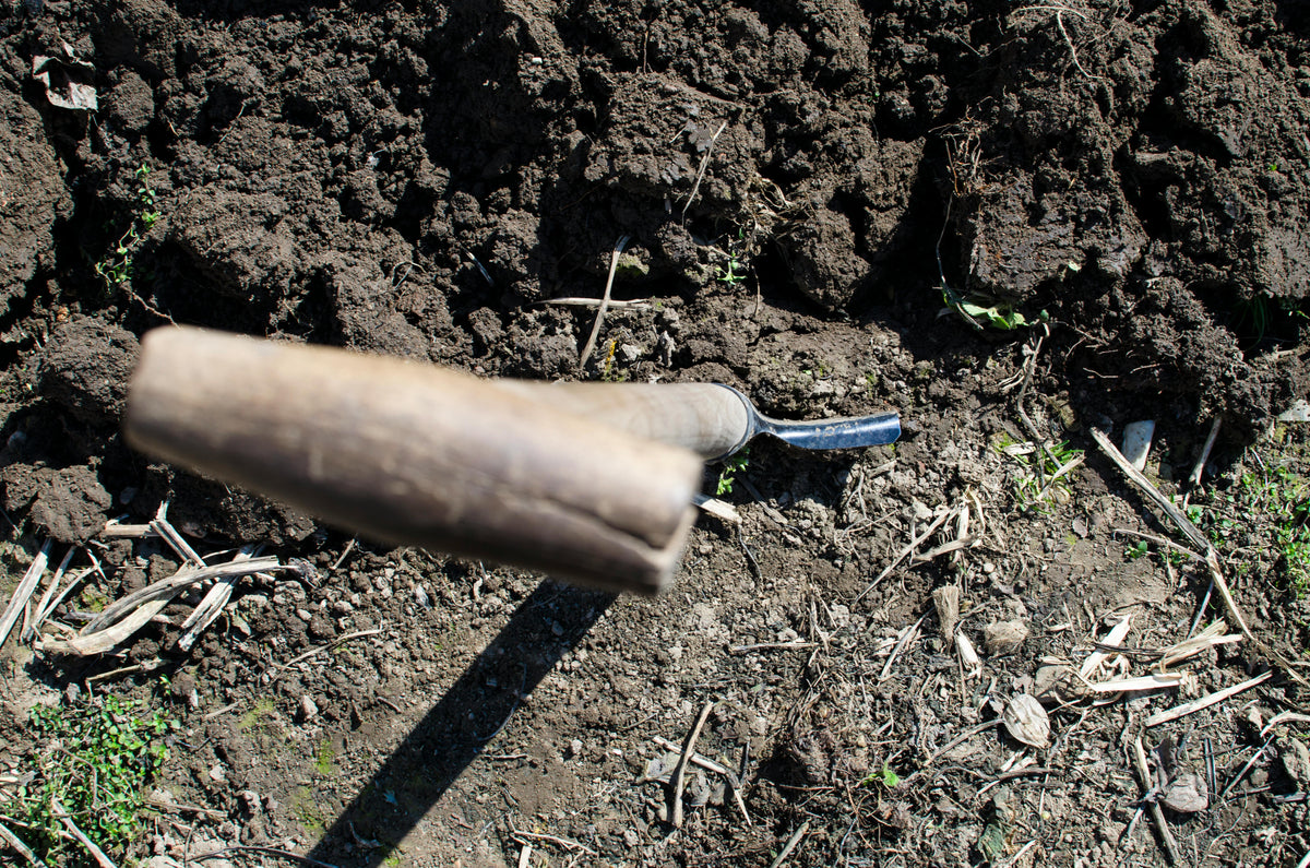 How to Combine Fish Fertilizer with 15.5-0-0 Calcium Nitrate for Maximum Yield