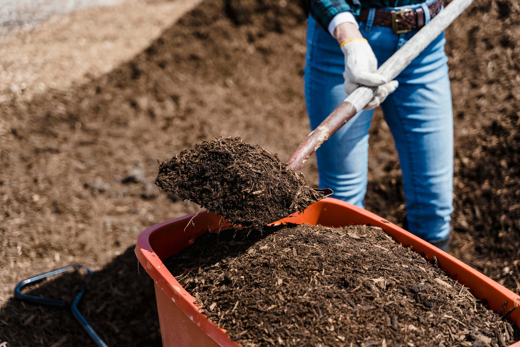 Early Spring Soil Microbial Health: Boosting Crop Nutrition with Compost and Fertility