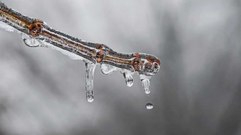 Best Ice Melt For Pacific Northwest Winters: How To Choose Safe Products For Driveways And Walkways