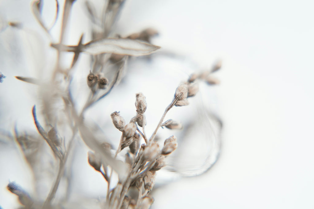 Recharging Soil Microbes with Sulfate-Based Fertilizers Before Winter