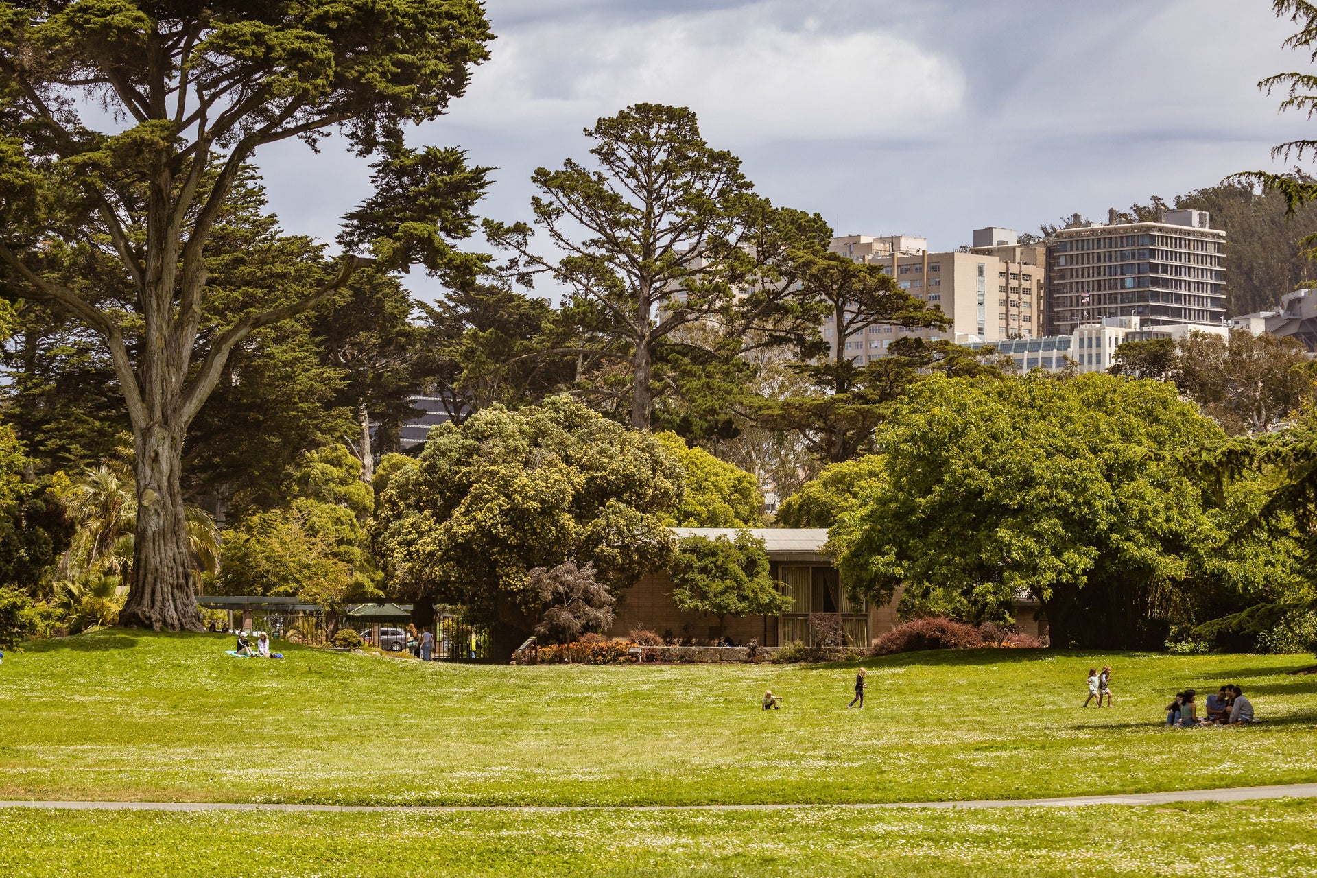 Helping Cool-Season Turf Recover After Summer Heat Without Triggering Excess Growth