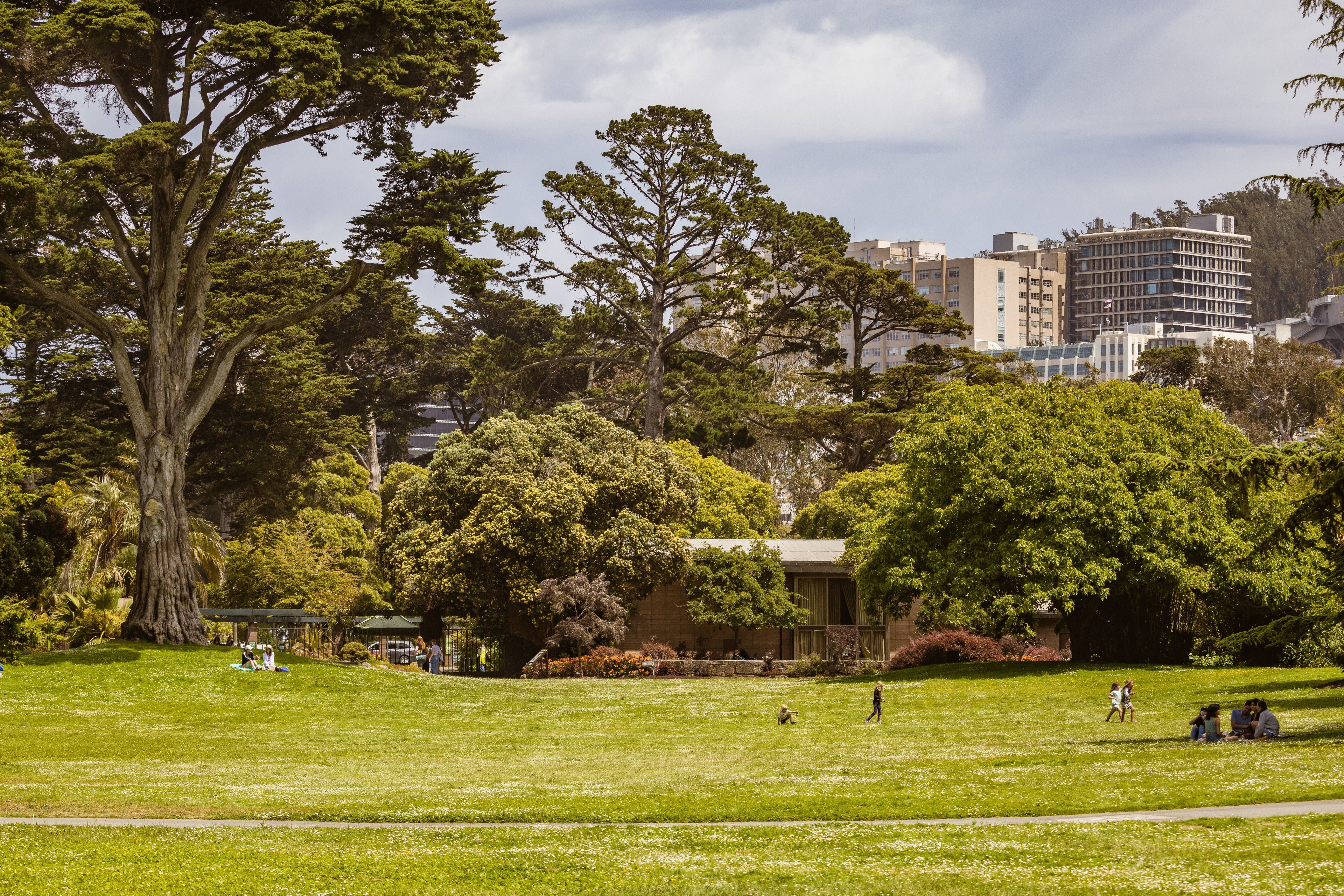 Helping Cool-Season Turf Recover After Summer Heat Without Triggering Excess Growth