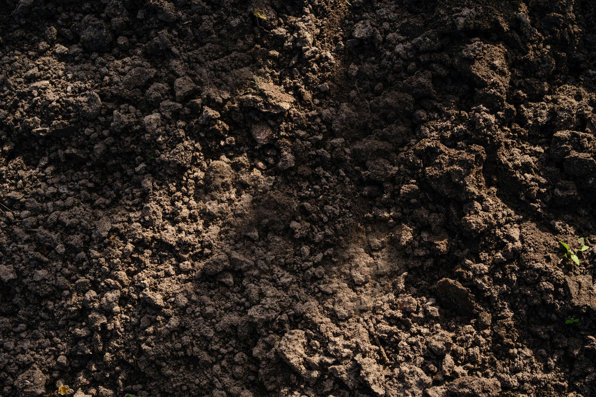 Soil Health and Fertilizer: Why You Need Both Working Together