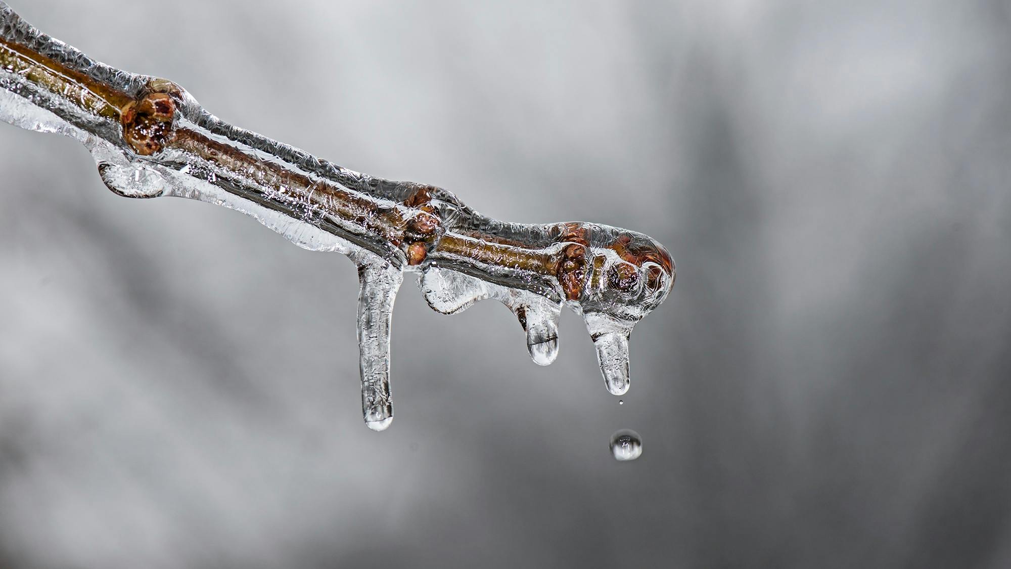 Winter Storm Safety Playbook: Combining Ice Melt, Traction Products And Smart Shoveling