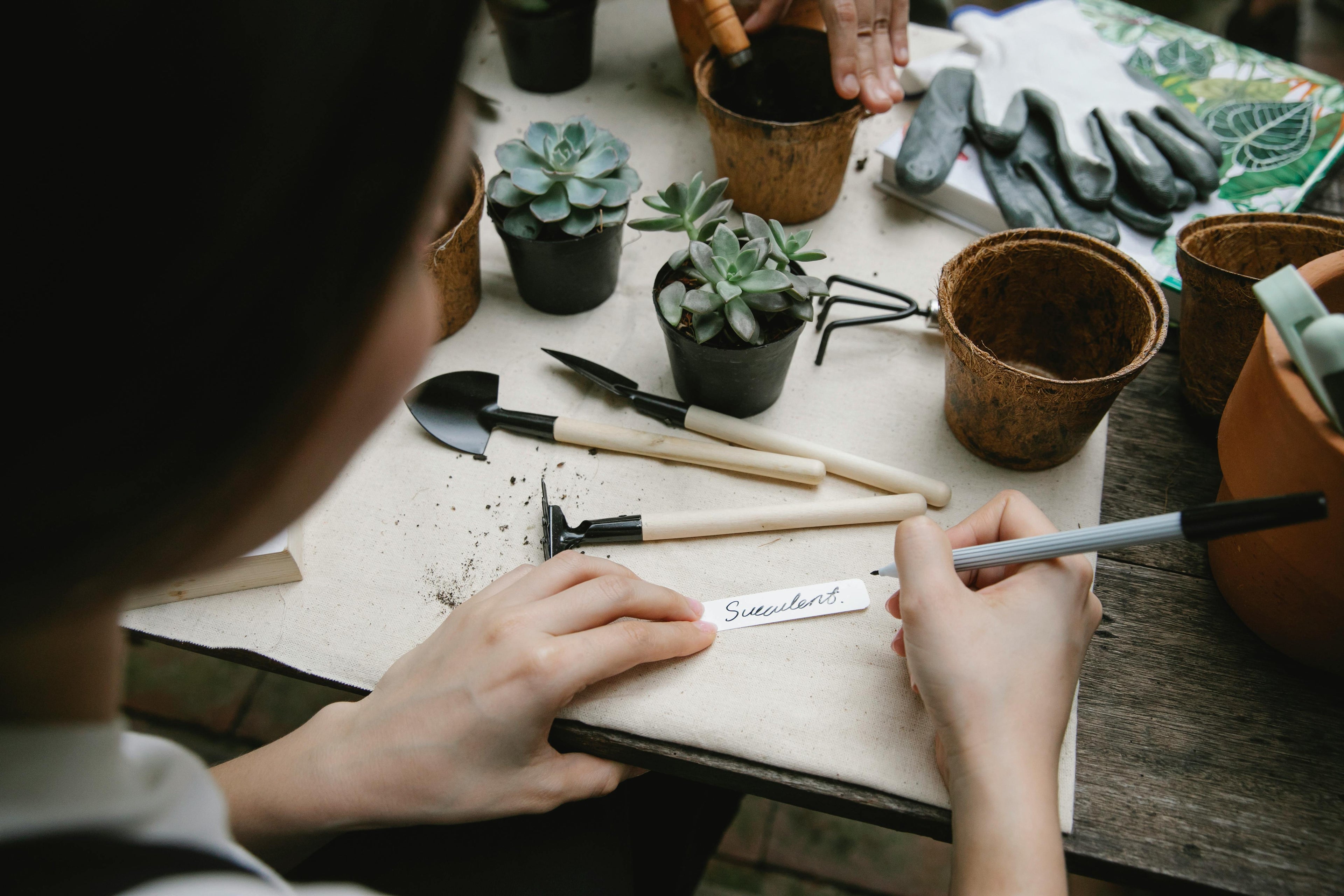 The Worst Mistakes Gardeners Make When Fertilizing Without a Soil Test