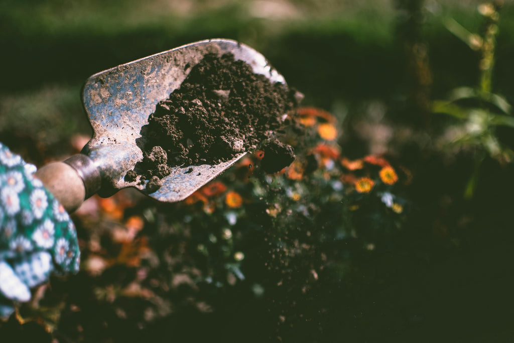 The Role of Soil Texture and Structure in Fertilizer Absorption