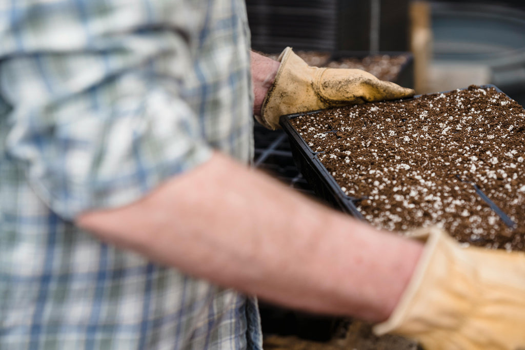 How Healthy Soil Microbiology Improves Fertilizer Performance