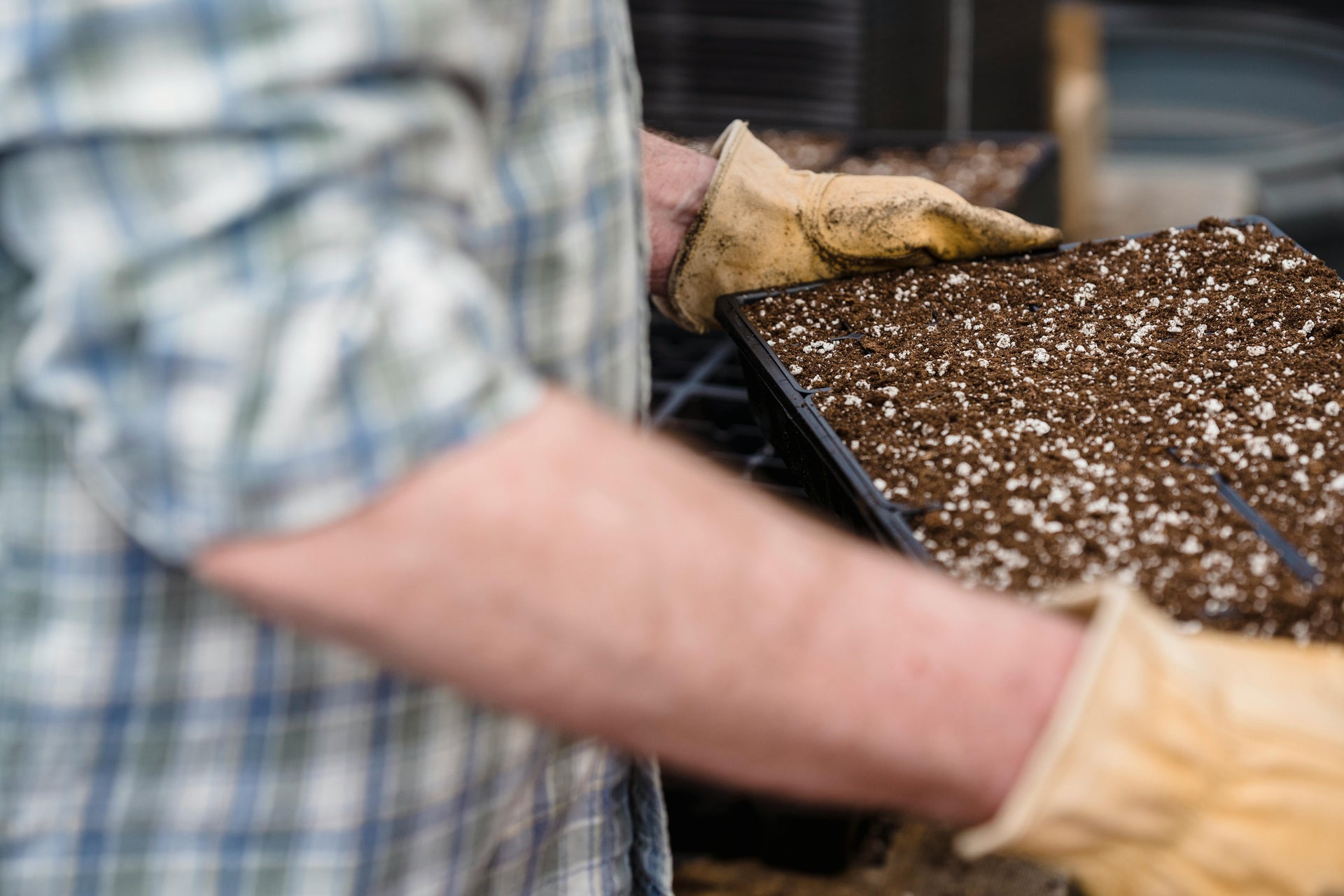 How Healthy Soil Microbiology Improves Fertilizer Performance