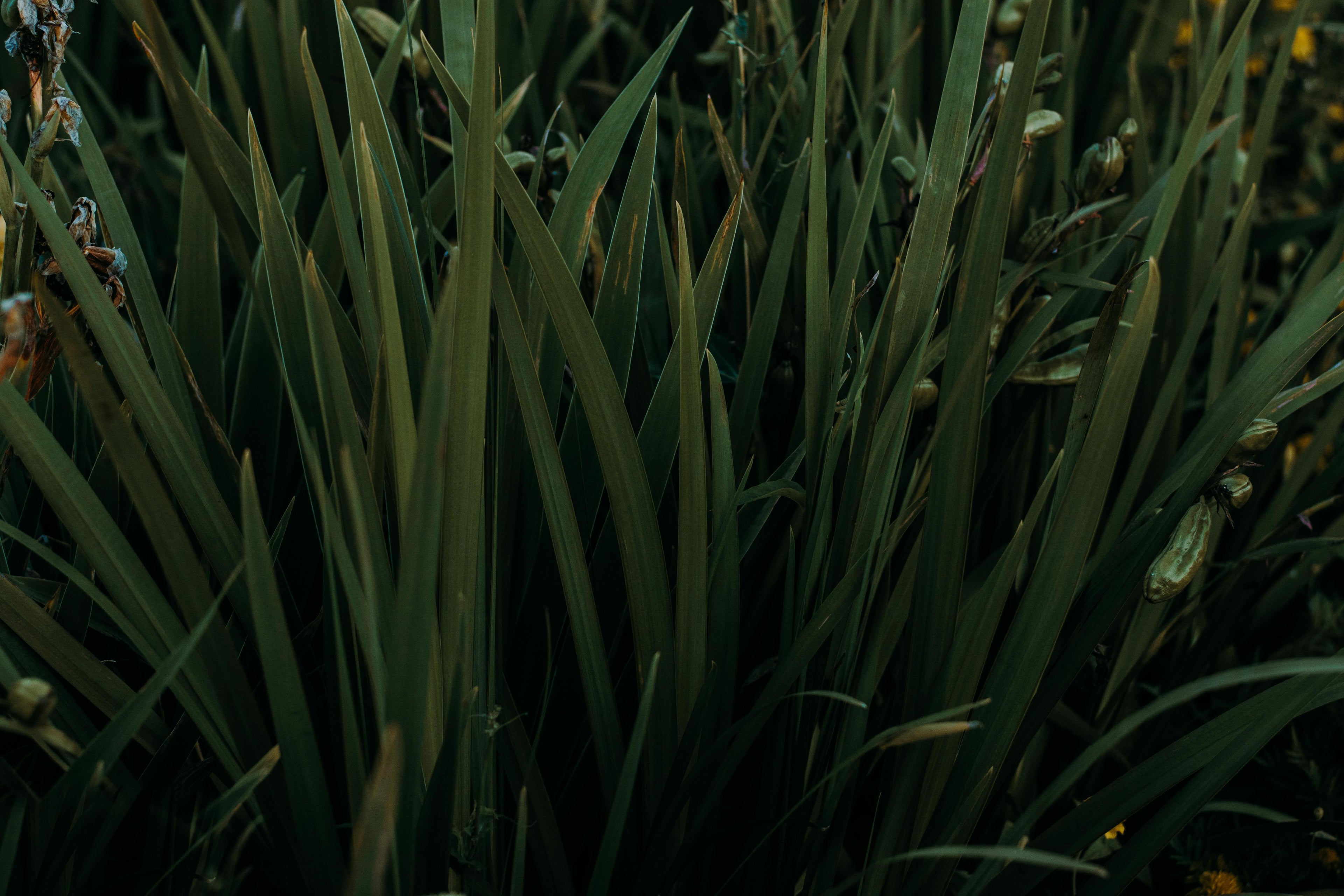 Leaching 101 for the PNW: Keeping Nutrients Where Roots Can Use Them