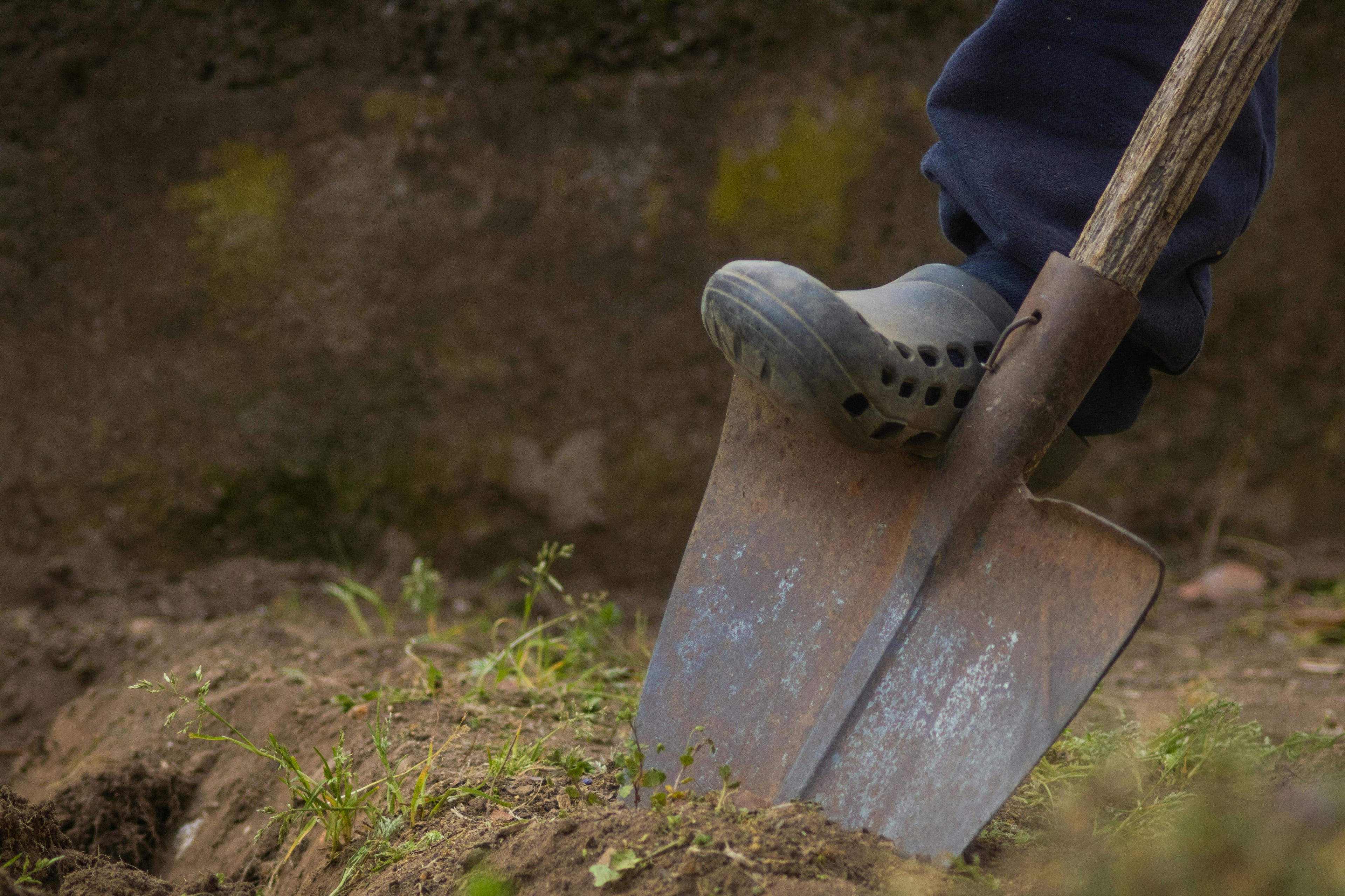 Starter Fertilizer in the PNW: Building Early Momentum Without Overfeeding Cold Soil
