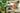 Choosing the Right Potassium Source: Potash vs Other Options