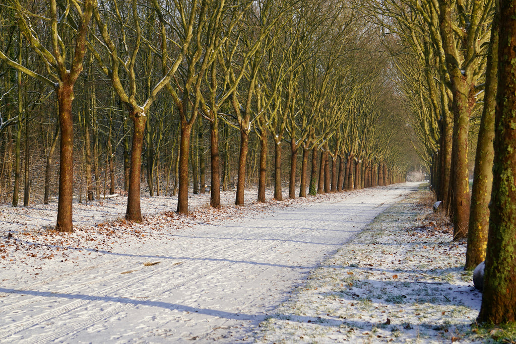 How to Apply Ice Melt on Different Driveways and Ice Conditions for Optimal Results
