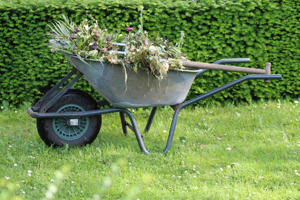 Building Stronger Root Systems in Fall with Triple 10 Fertilizer