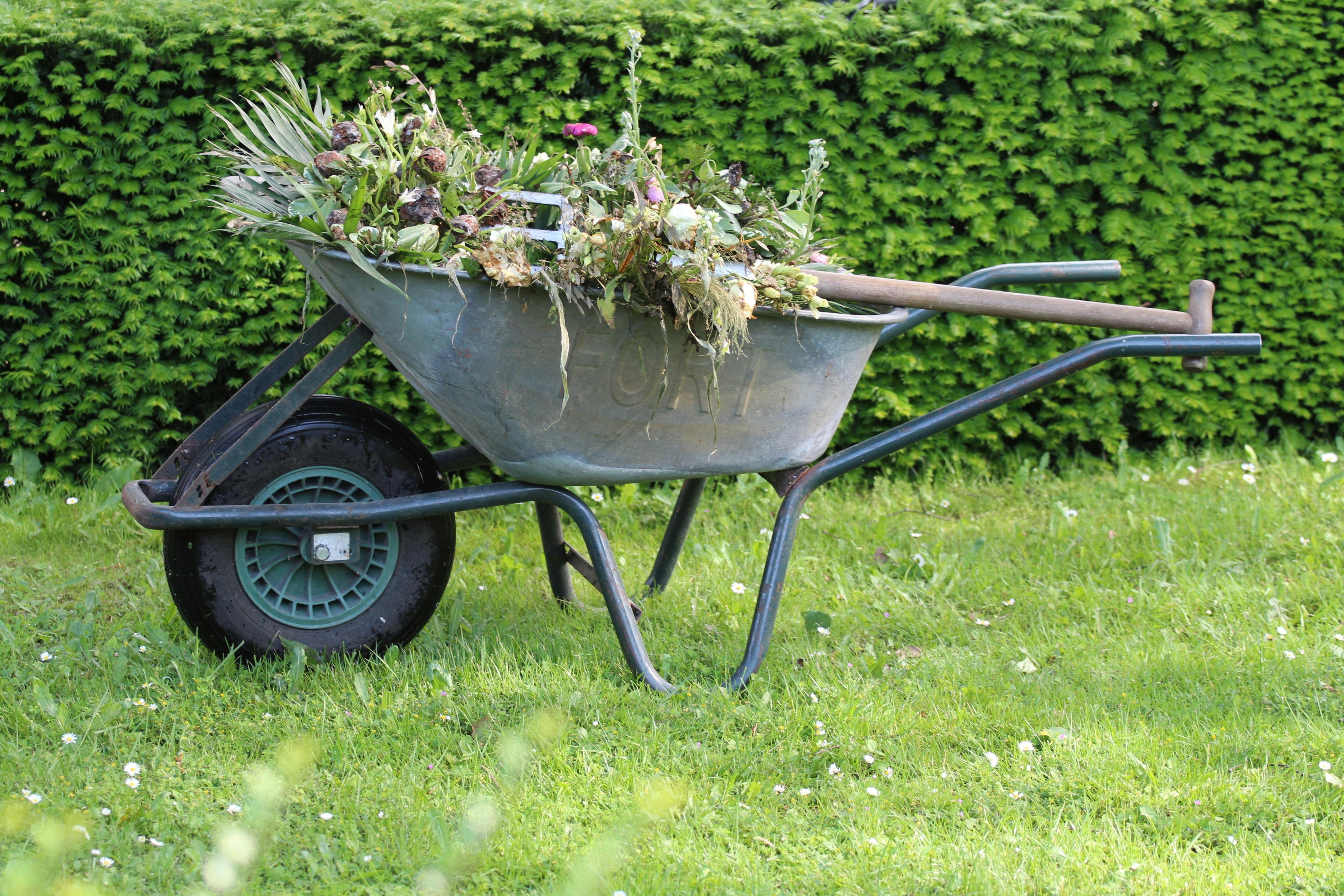 Building Stronger Root Systems in Fall with Triple 10 Fertilizer