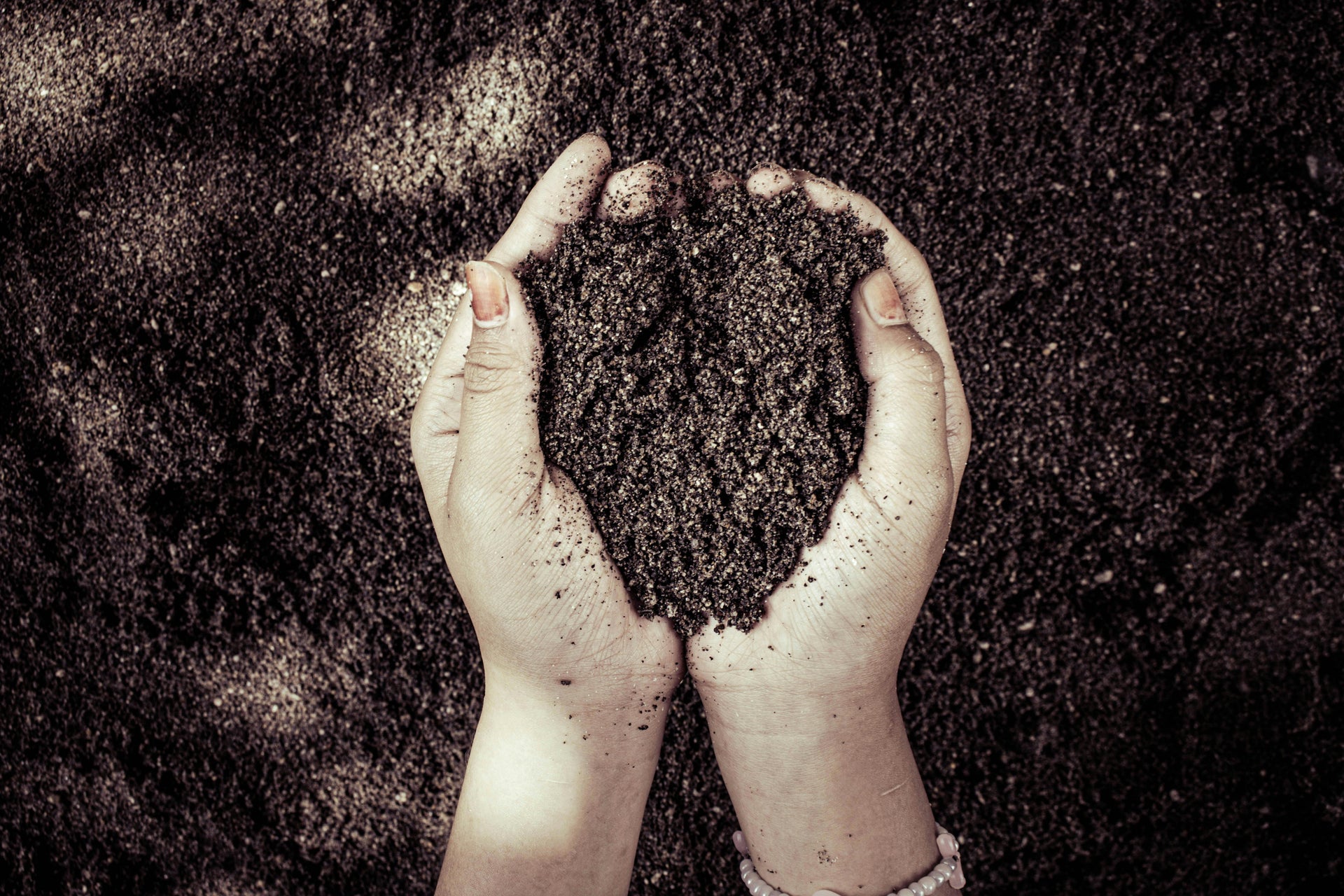 What May Soil Is Telling You Before the Season Takes Off