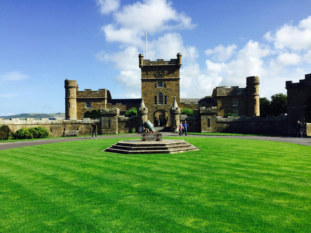 How to Choose the Best Summer Lawn Fertilizer: A Complete Guide for a Lush Yard
