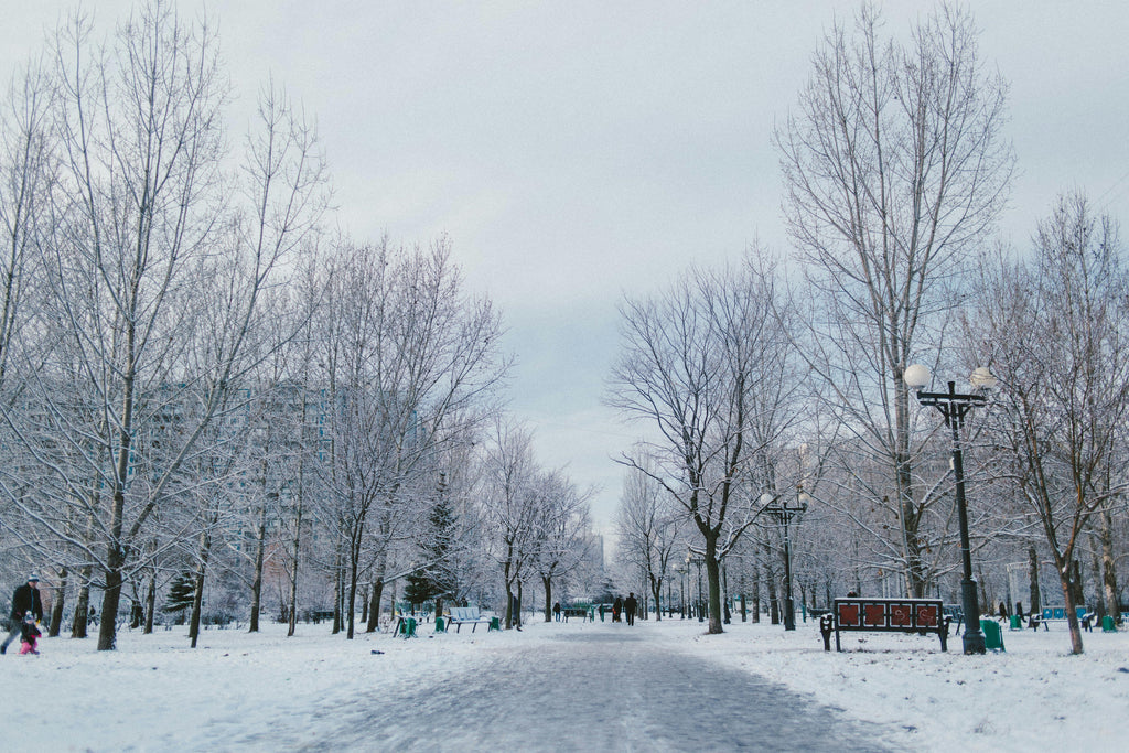 Winter Protection Made Easy: Why Traxxion Granular Traction with Ice Melt is the Ultimate Solution for Ice Control