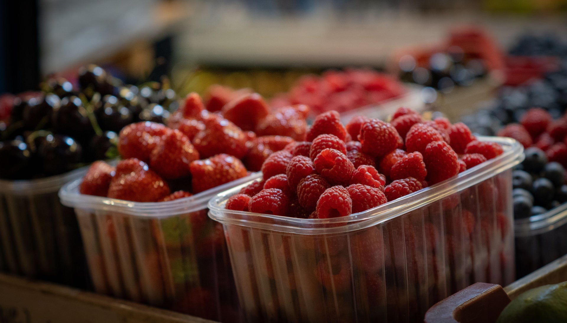 Postharvest Care for Berry Plants: Building Next Year’s Crop Without Forcing Soft Growth