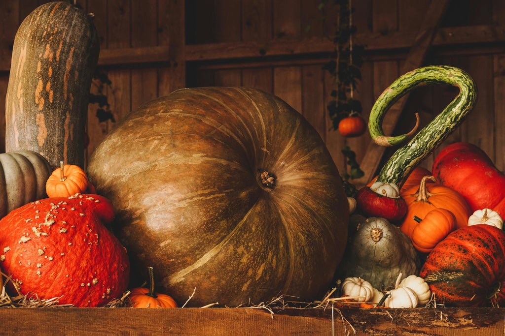 16-16-16 for Fall Vegetables: Balanced Nutrition for Leafy Greens and Root Crops