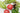 Why April Is the Most Important Month for Fertilizer Planning