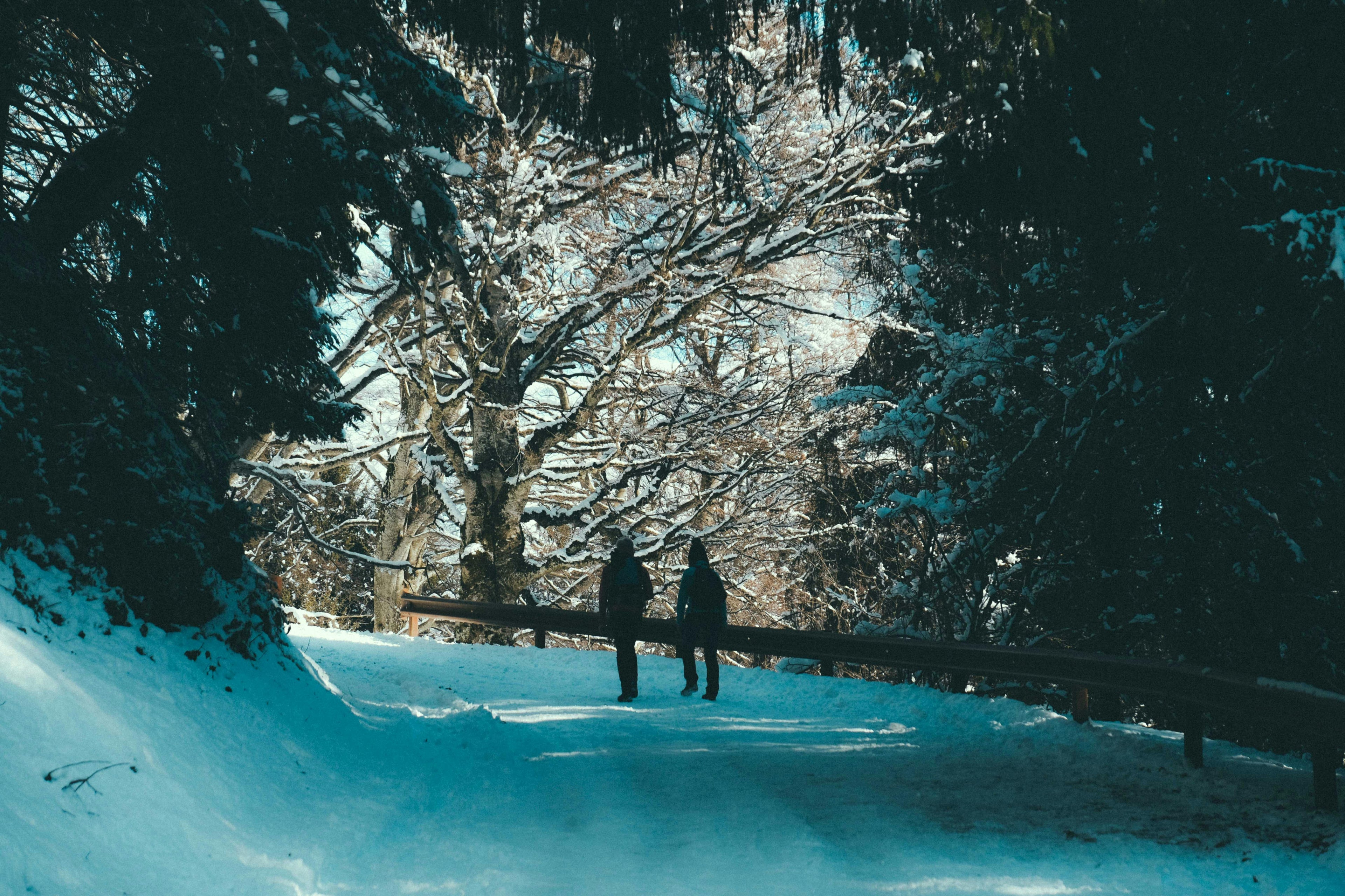 Using Ice Melt Responsibly and Effectively All Winter