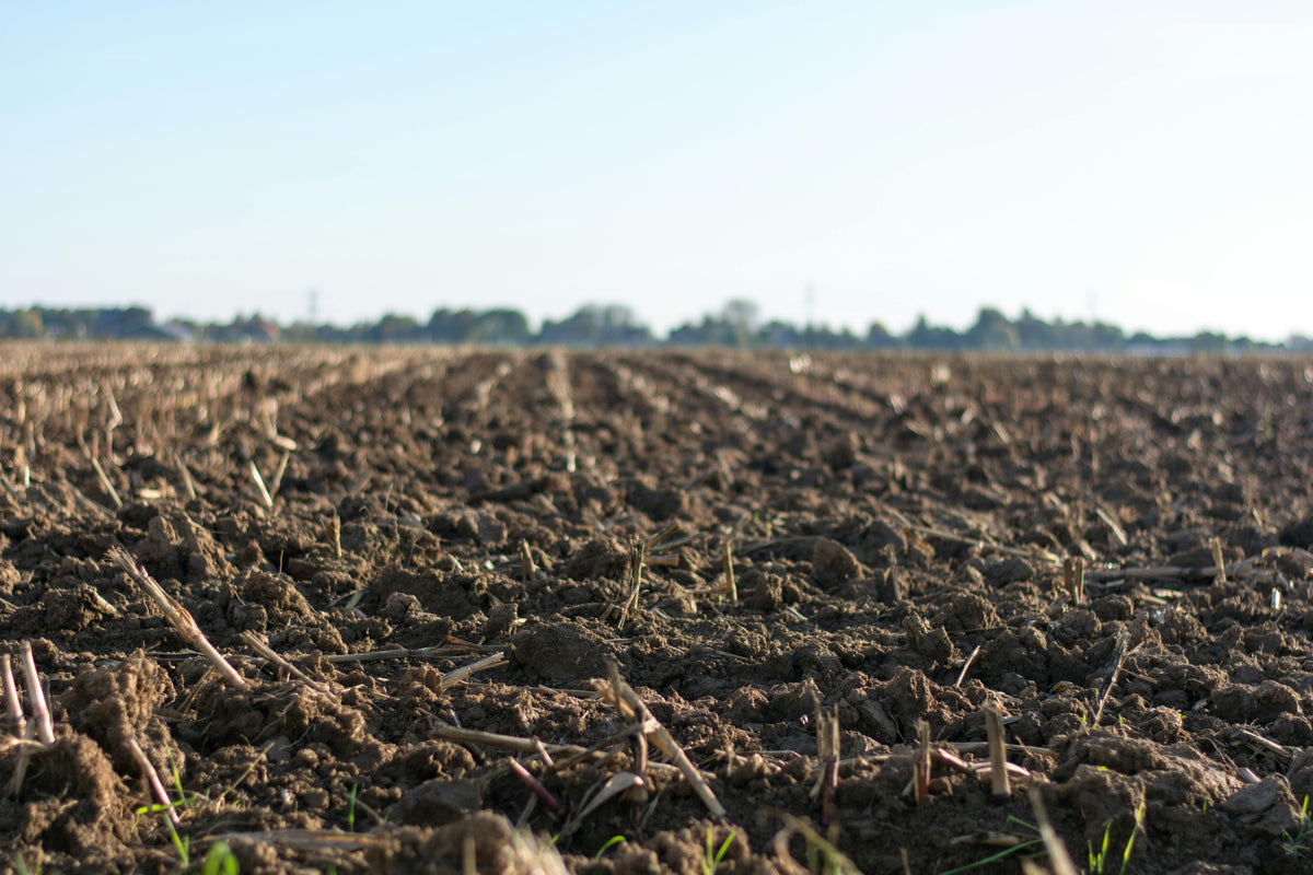 How Calcium Improves Soil Structure and Water Infiltration Before Winter