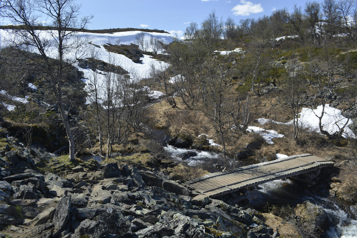 From Snow Melt To First Pass: Timing Your Early Spring Fertilizer Applications