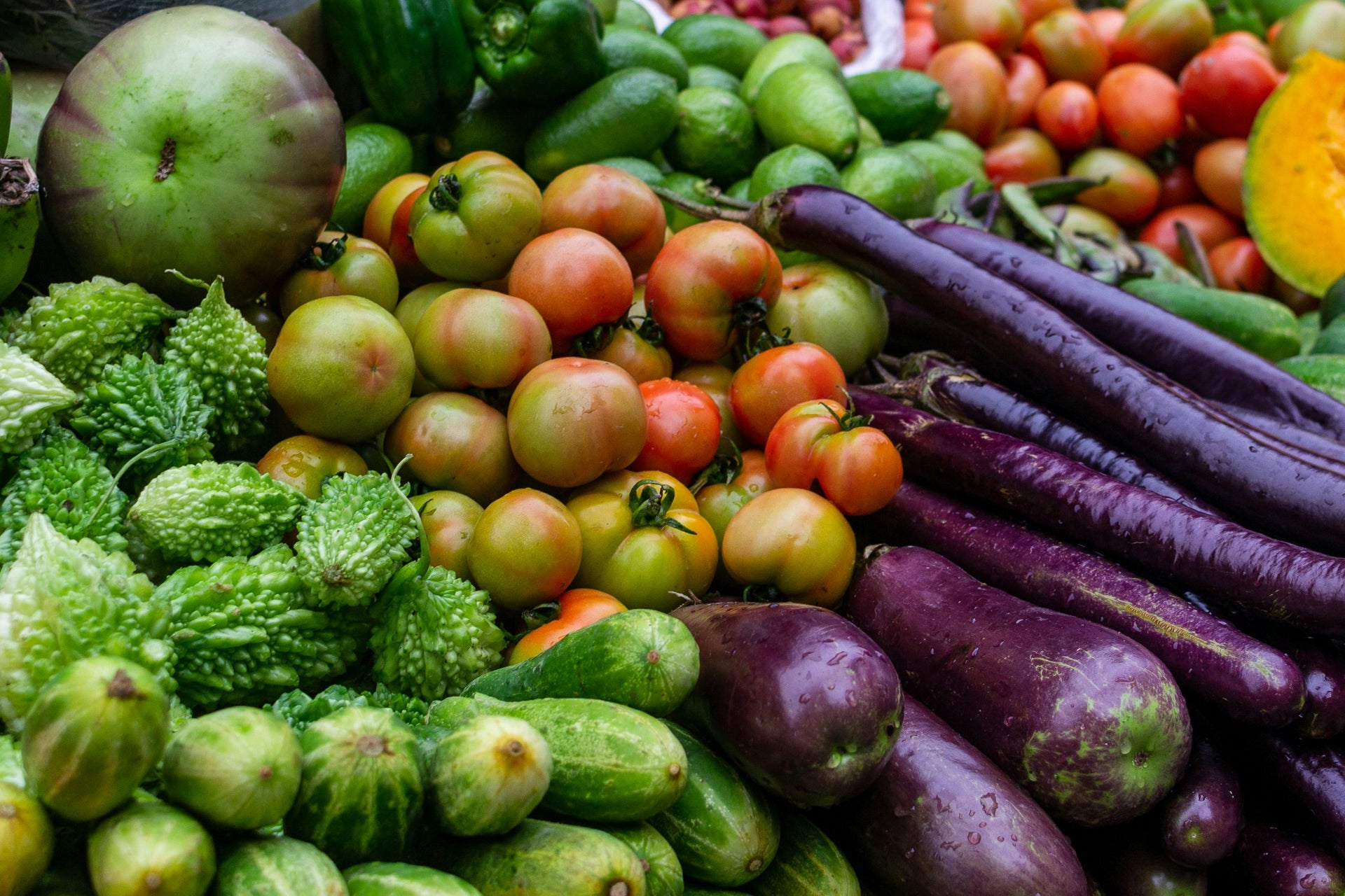 Fertilizer Strategies for High-Yield Vegetable Production in Early Season