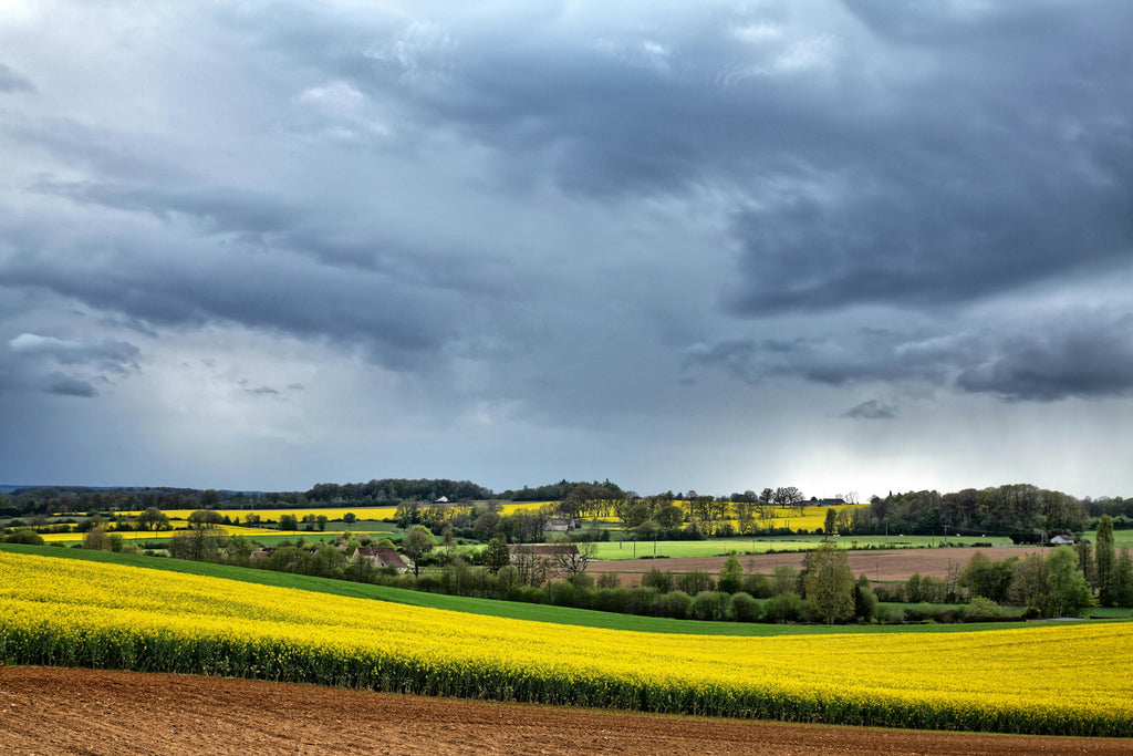 The Best Fertilizer Program for First-Time Growers Starting This April