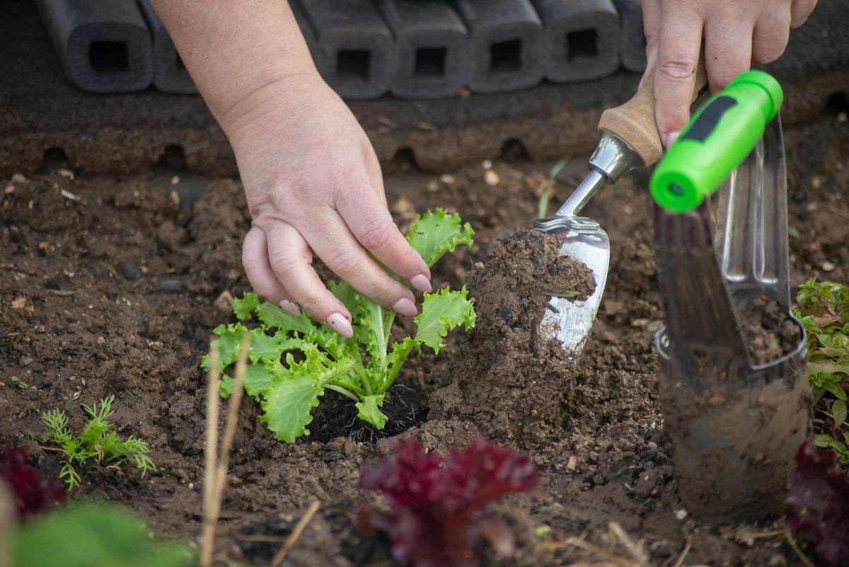 Combining Fertilizers: Strategies for Balanced Nutrition