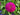 The Role of Triple 10 in Supporting Perennials and Flower Beds Through Fall