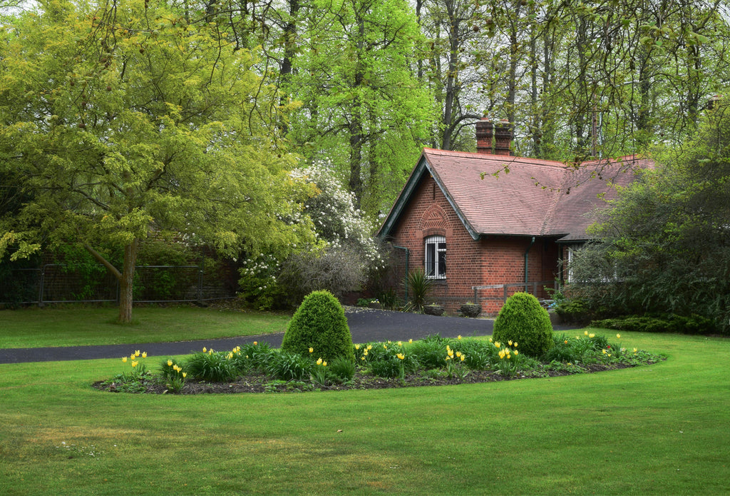 Magnesium Sulfate for Lawns: Greener Grass Before Winter Sets In
