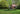 Magnesium Sulfate for Lawns: Greener Grass Before Winter Sets In