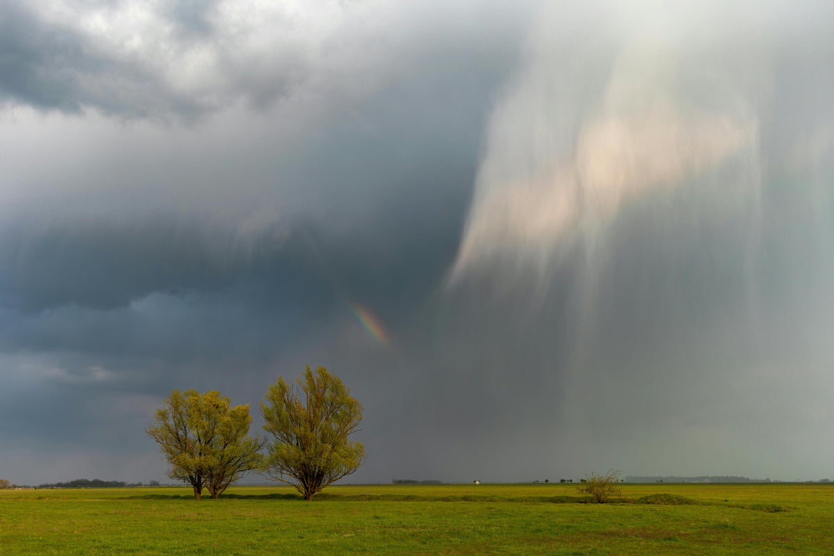How to Adjust Your Fertilizer Plan When Spring Weather Keeps Changing