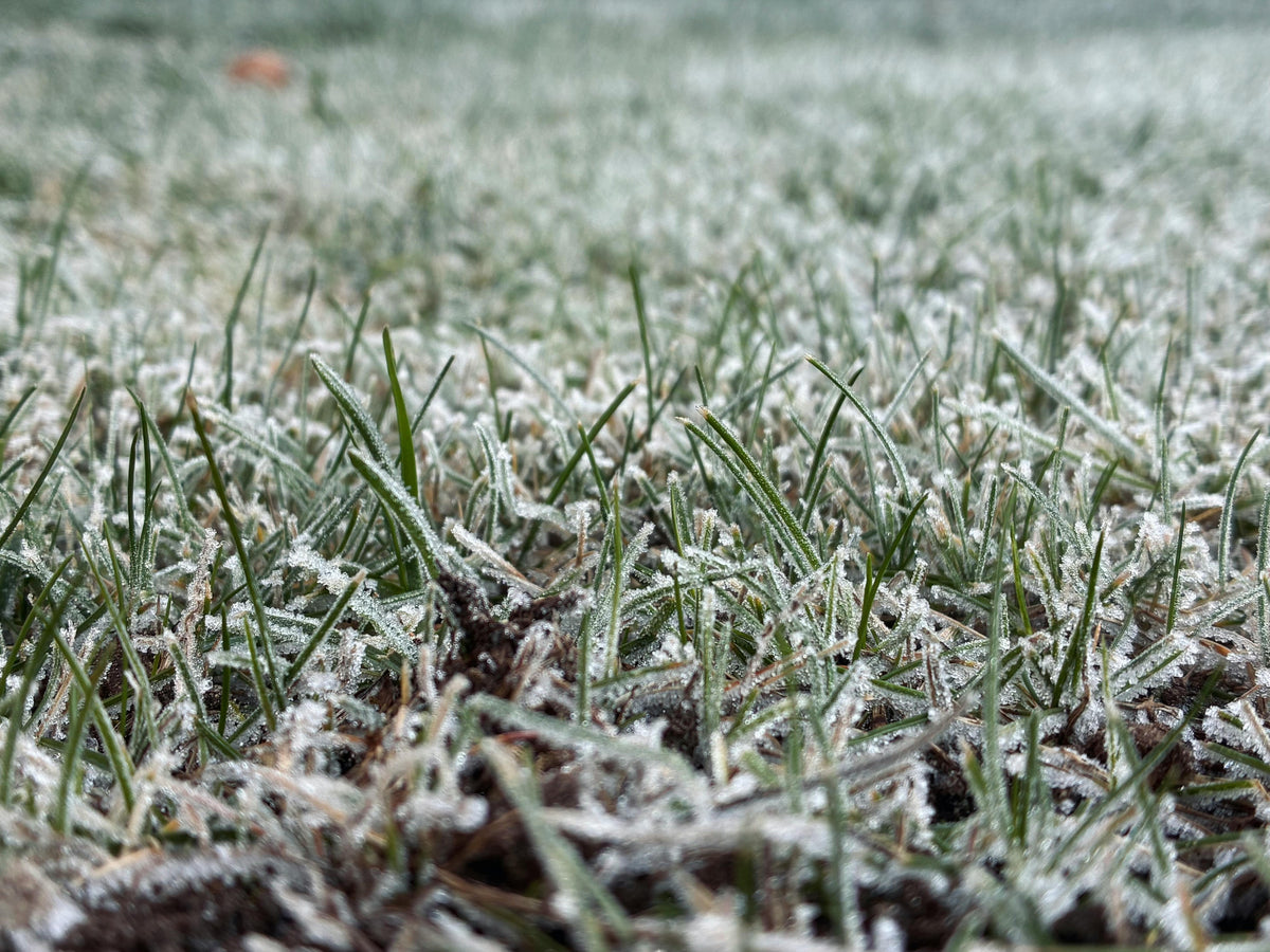 Winter Fertilizer Shed Checklist: Protecting Your Investment Until Spring