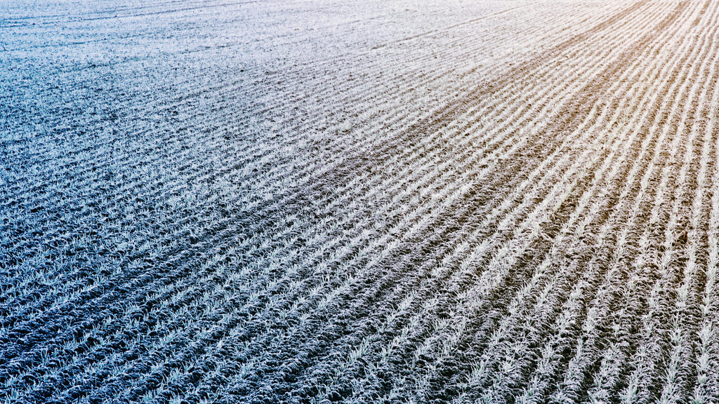 Turning Winter Soil Tests Into A Clear Spring Fertility Playbook