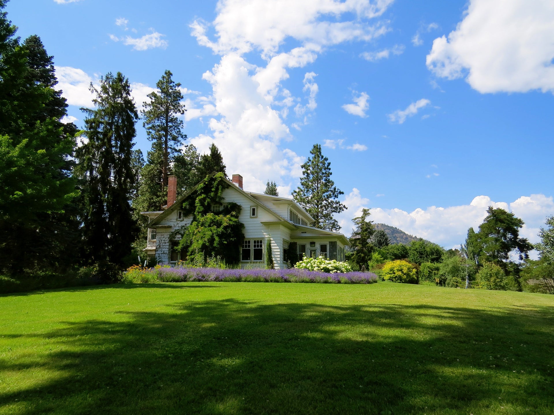Planning for Spring Landscaping