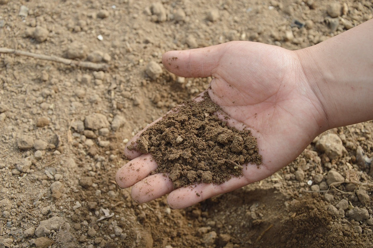 How to Use High Nitrogen Fertilizers