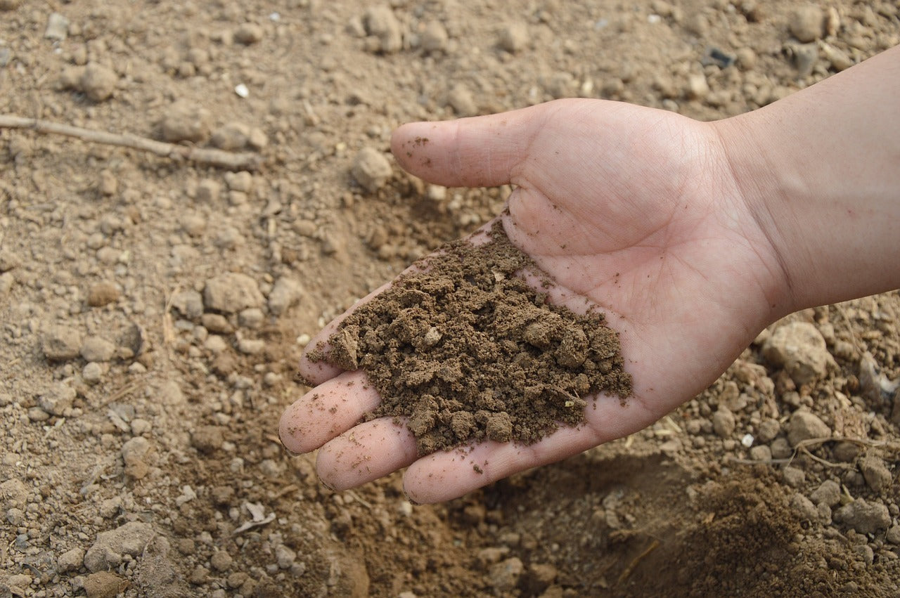 How to Use High Nitrogen Fertilizers