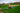 Enhancing Global Food Production: The Role of Surfactants in Modern Agriculture