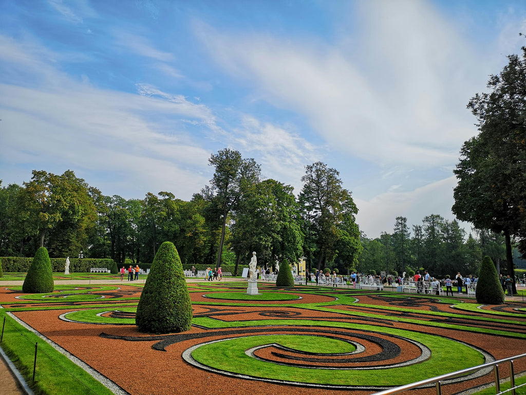Gypsum for Lawns: Relieving Compaction Before Winter