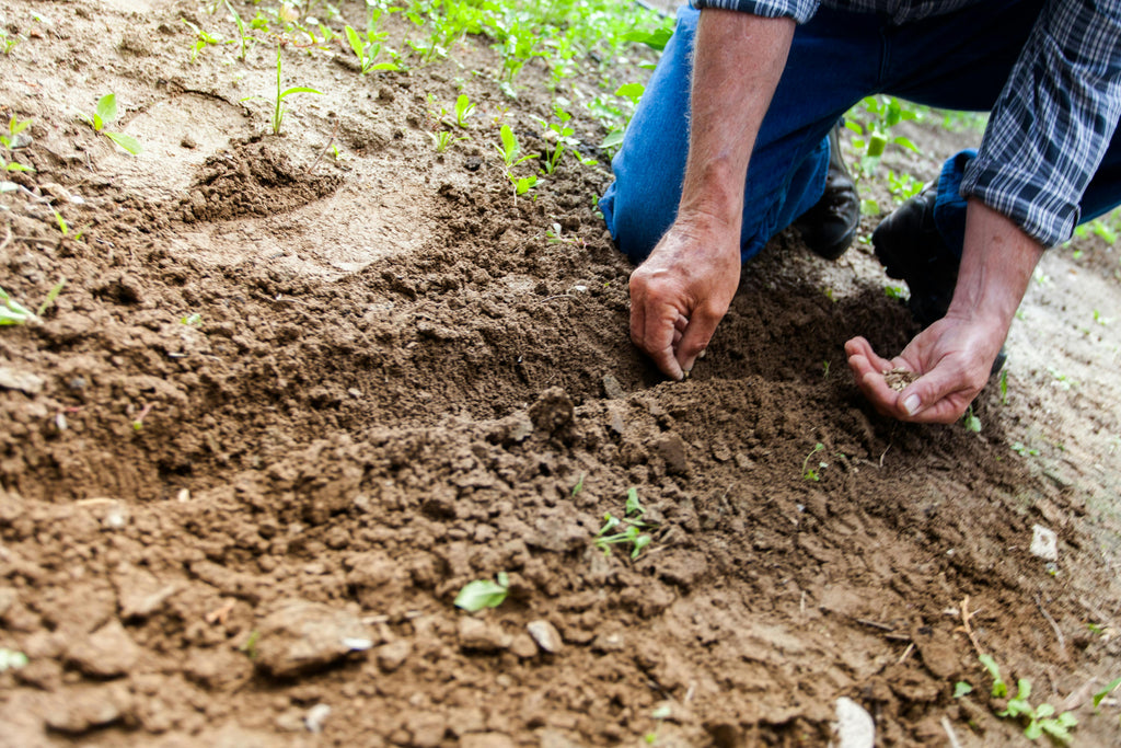 Fertilizer Storage Best Practices for Maximum Shelf Life