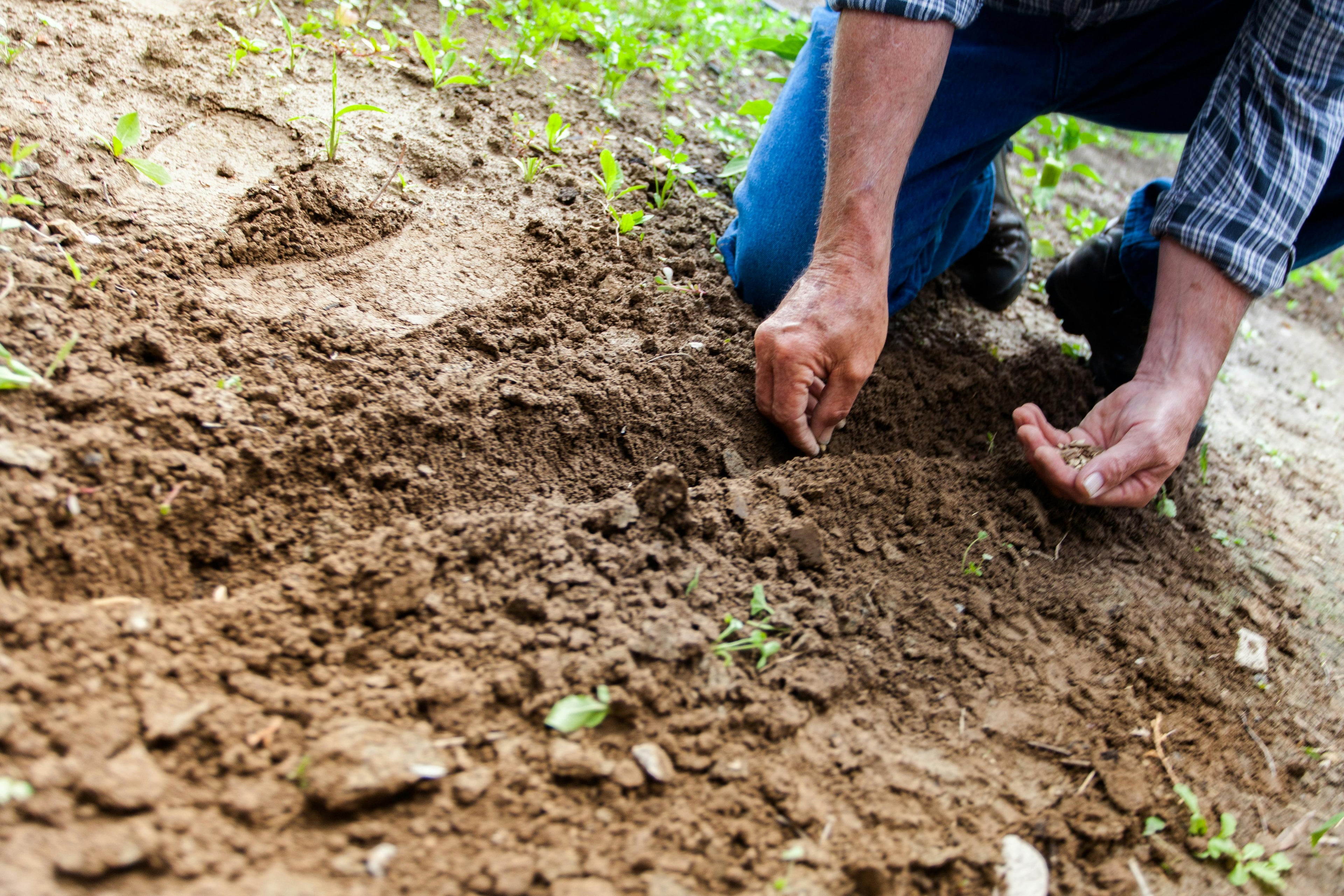 Fertilizer Storage Best Practices for Maximum Shelf Life