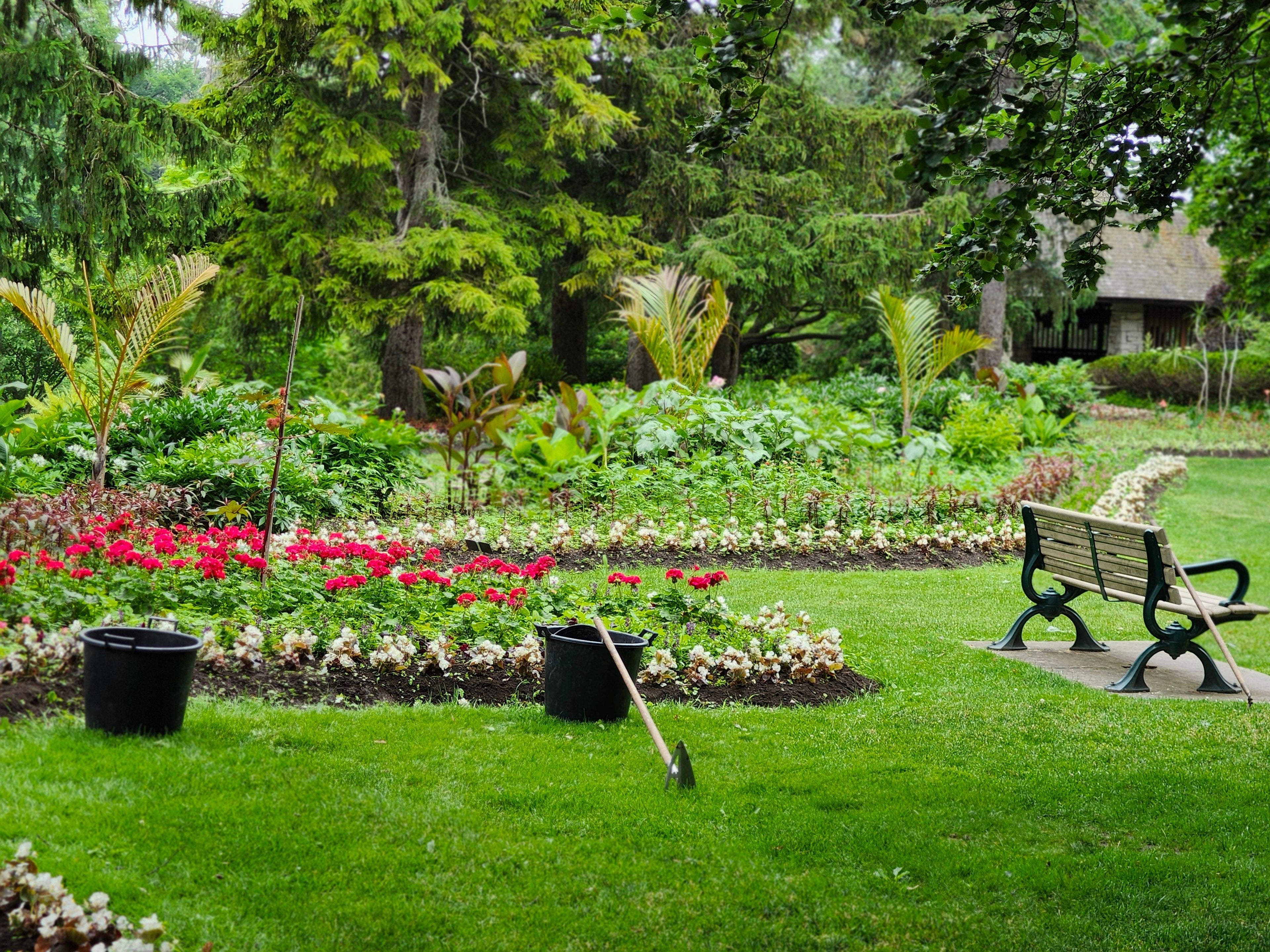 Memorial Day Weekend Garden Checkup