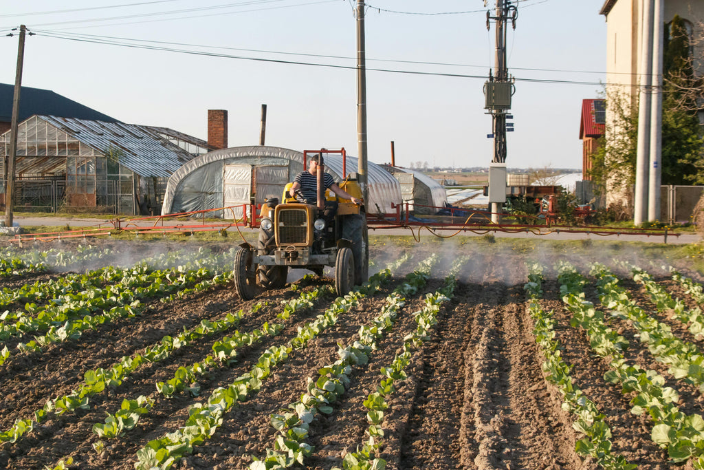 Why Balanced Fertilizers Matter More Than Ever in April