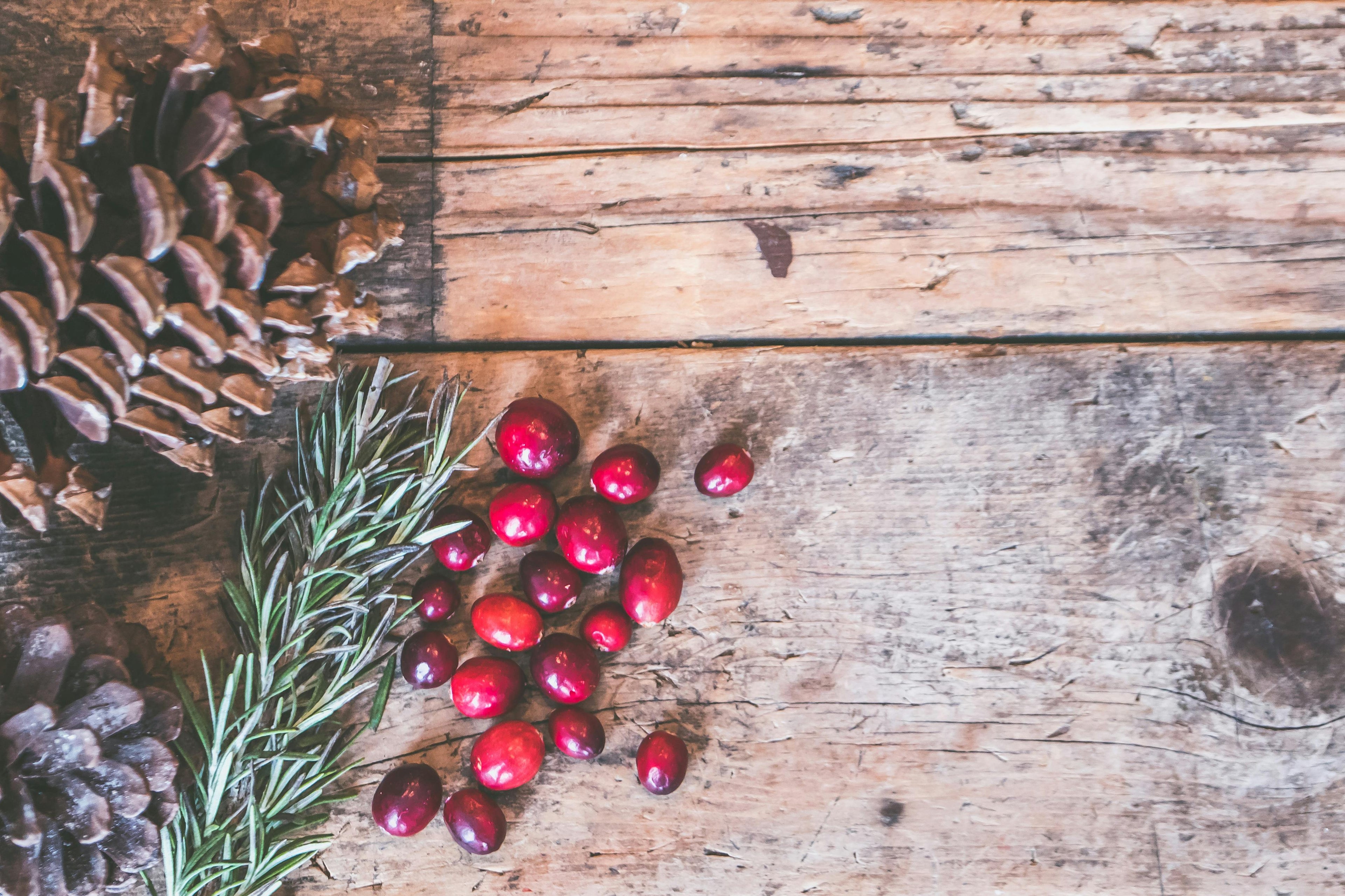 Preparing Your Fields for Winter: A Step-by-Step Fall Fertilizer Checklist