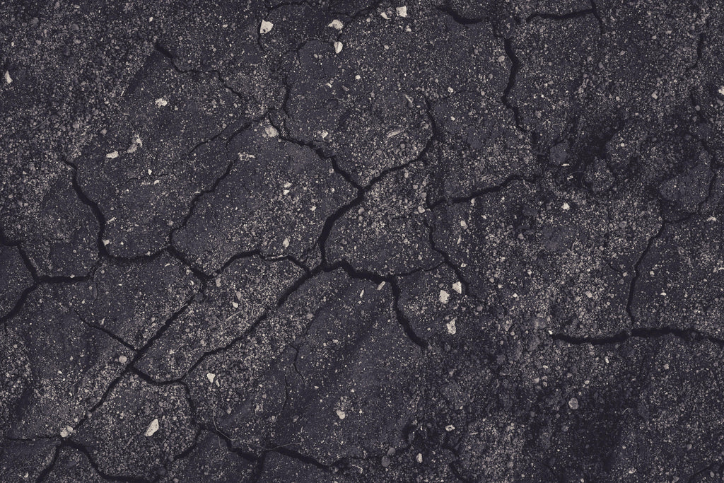 Early Spring Soil Moisture and Nutrient Management: Maximizing Root Uptake for Strong Crop Growth